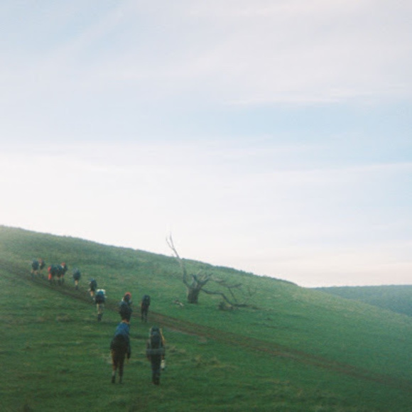 Meet your Posher, Chloe - Picture 1 of 1